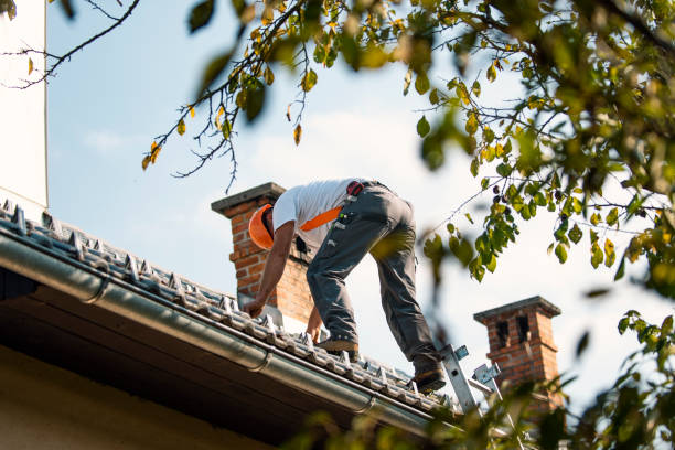 Best Roof Gutter Cleaning  in Buchanan, VA