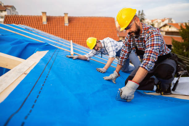 Best Metal Roofing Contractor  in Buchanan, VA